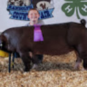 Meet your Posher, Brian